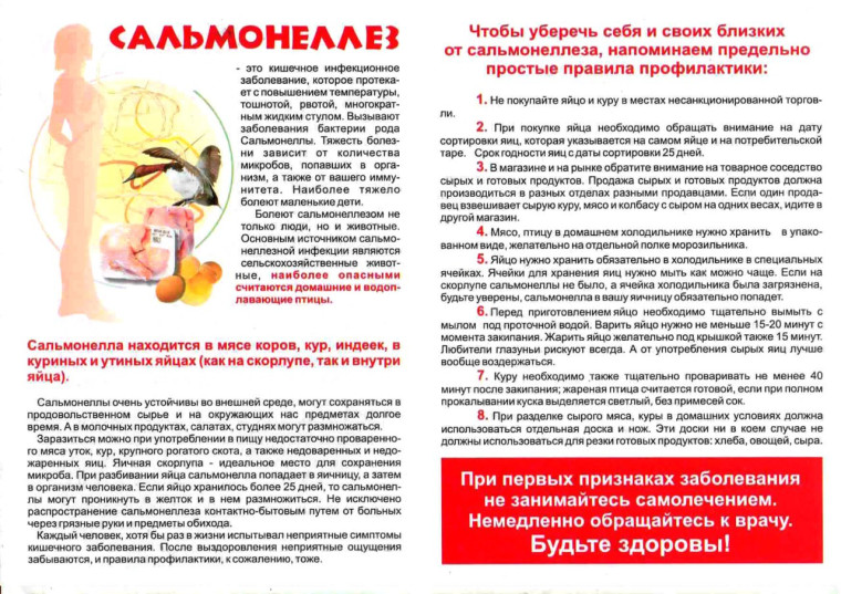 ❌ САЛЬМОНЕЛЛЁЗ: ПРИЧИНЫ, СИМПТОМЫ И ПРОФИЛАКТИКА ИНФЕКЦИИ❌.